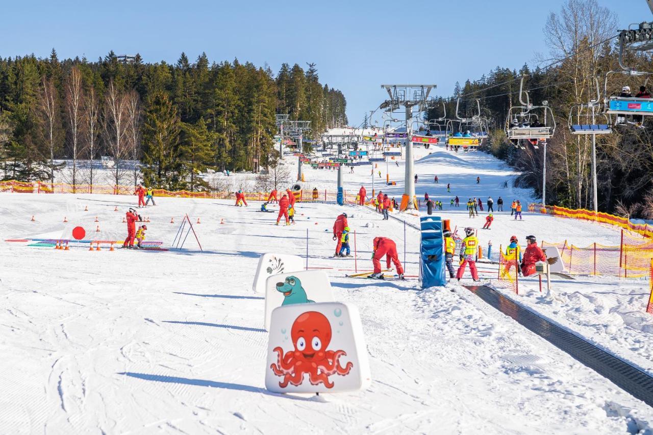 Apartment A121 Molo Lipno S Infrasaunou - Koubek *